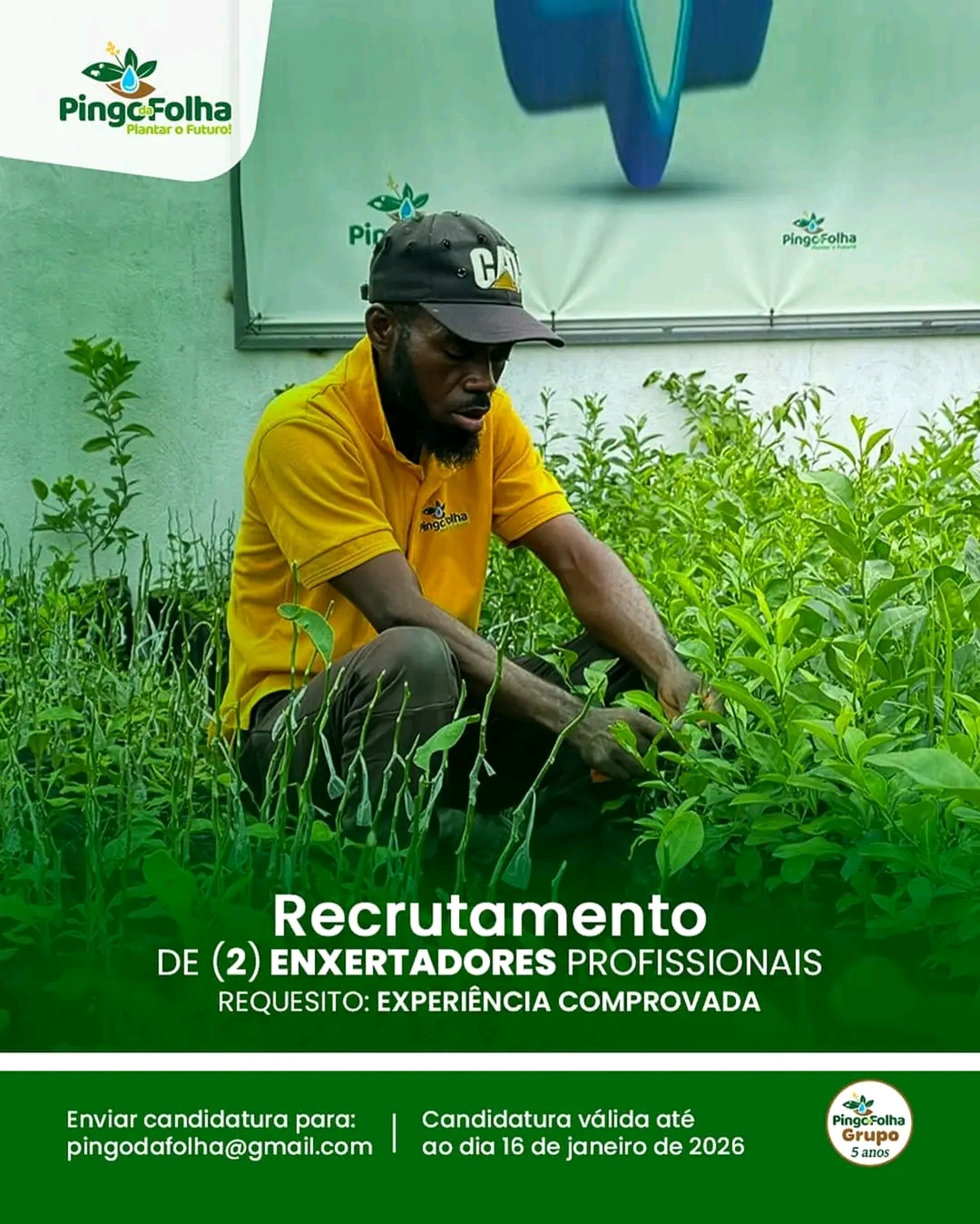 OPORTUNIDADE:2 ENXERTADORES PROFISSIONAIS ! 