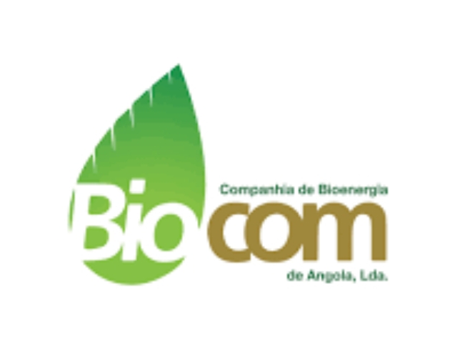 A Biocom está a recrutar profissionais em 5 áreas
