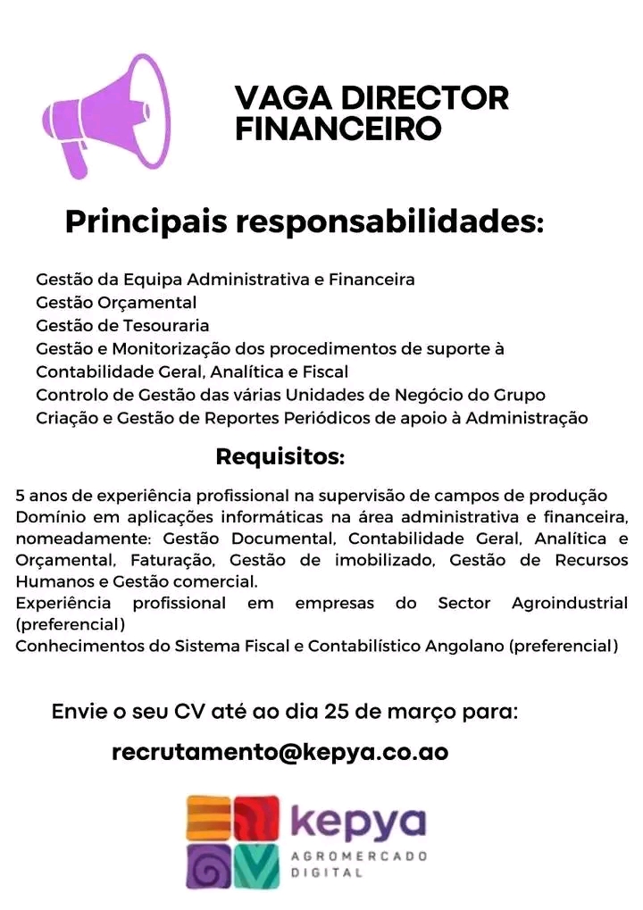 VAGA DIRECTOR FINANCEIRO 