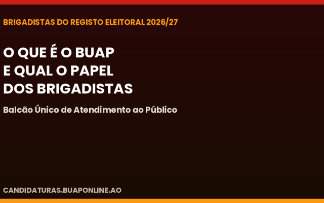 O que é o BUAP e qual o papel dos Brigadistas no Registo Eleitoral Oficioso